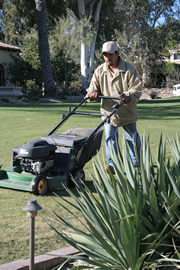 Friendswood  Lawn Mowing Services